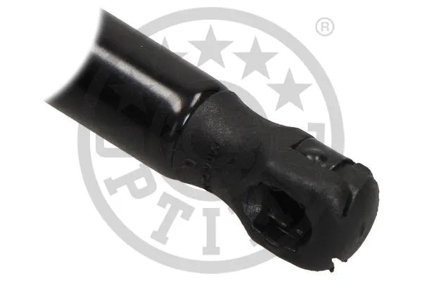 Gas Spring, boot/cargo area