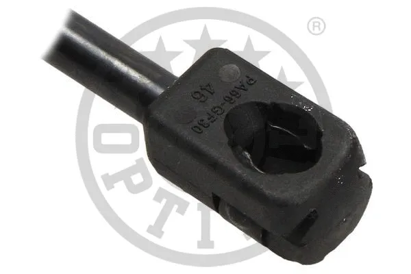 Gas Spring, boot/cargo area