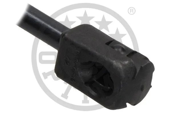 Gas Spring, boot/cargo area