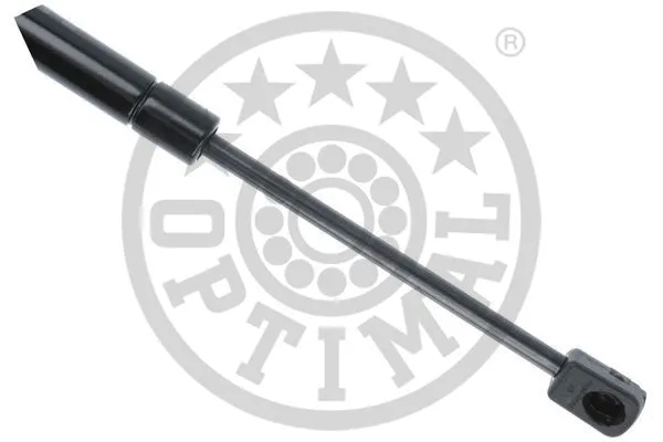 Gas Spring, boot/cargo area