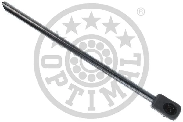 Gas Spring, boot/cargo area