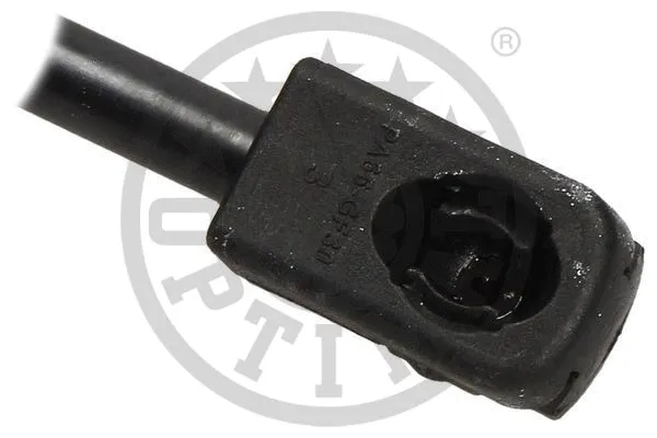 Gas Spring, boot/cargo area