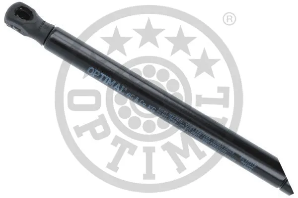 Gas Spring, boot/cargo area