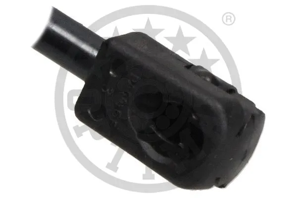 Gas Spring, boot/cargo area