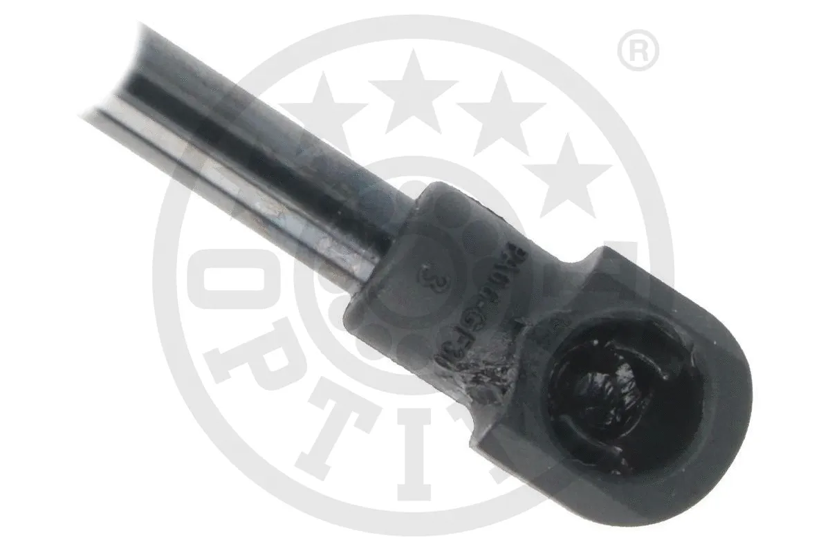 Gas Spring, boot/cargo area