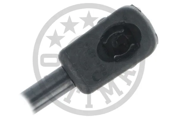 Gas Spring, boot/cargo area