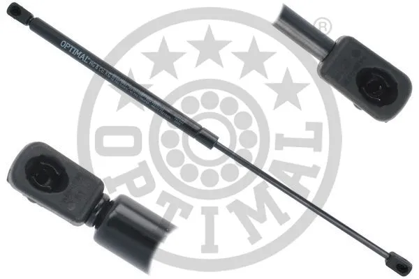Gas Spring, boot/cargo area (AG-51365)