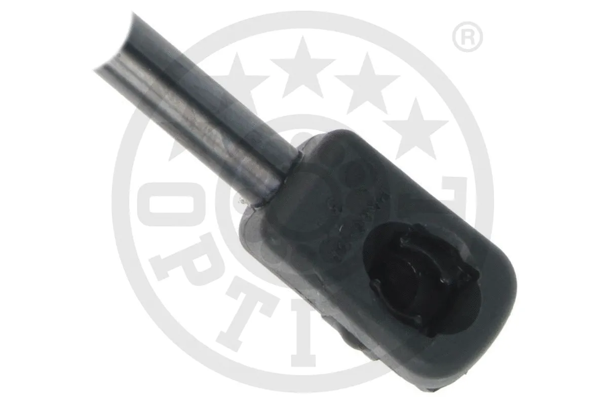 Gas Spring, boot/cargo area