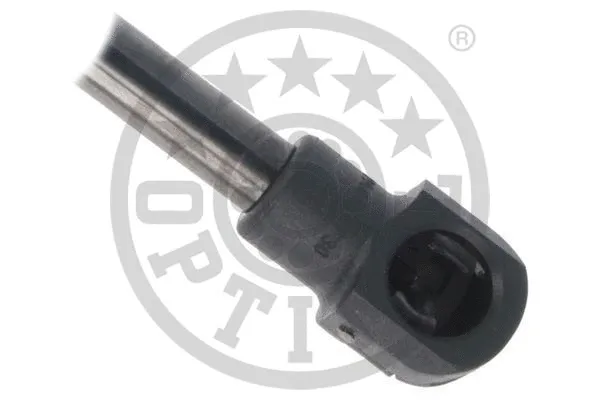 Gas Spring, boot/cargo area