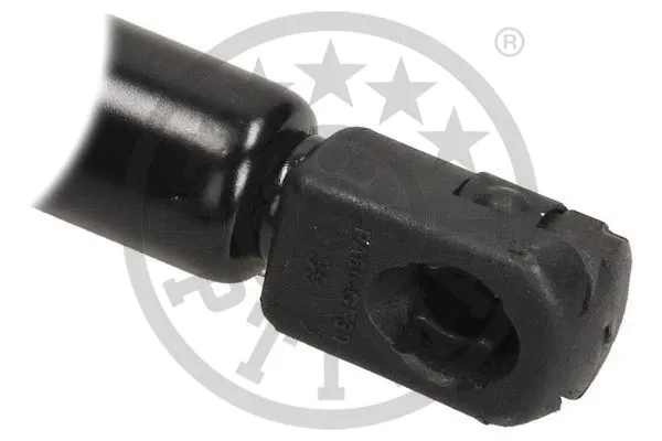 Gas Spring, boot/cargo area