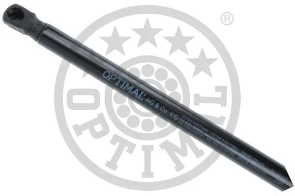 Gas Spring, boot/cargo area