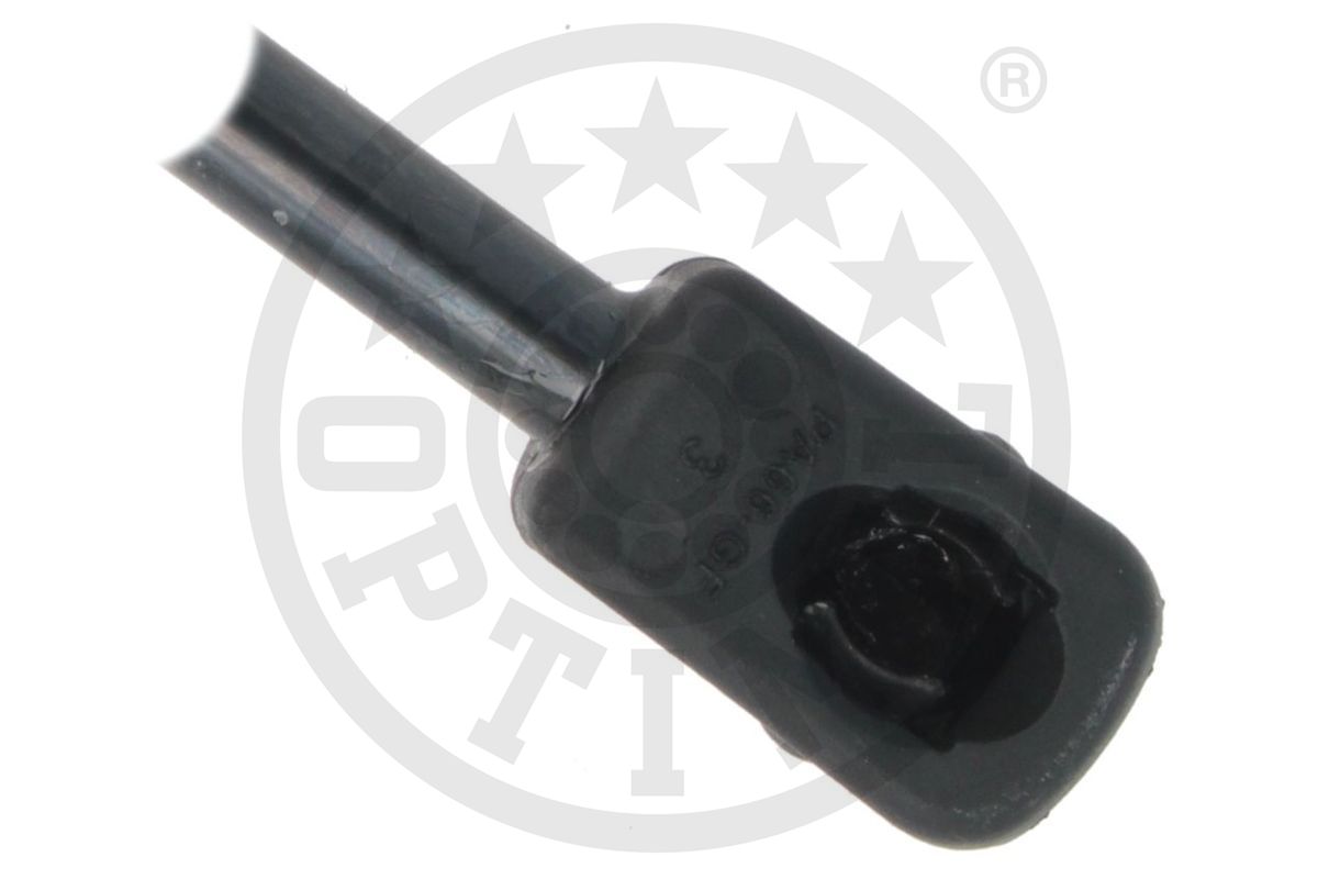 Gas Spring, boot/cargo area