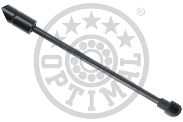 Gas Spring, boot/cargo area