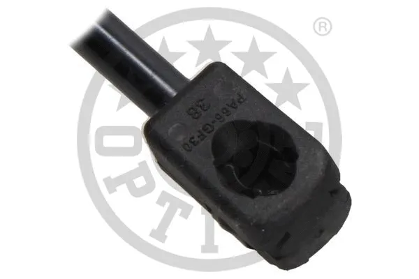 Gas Spring, boot/cargo area