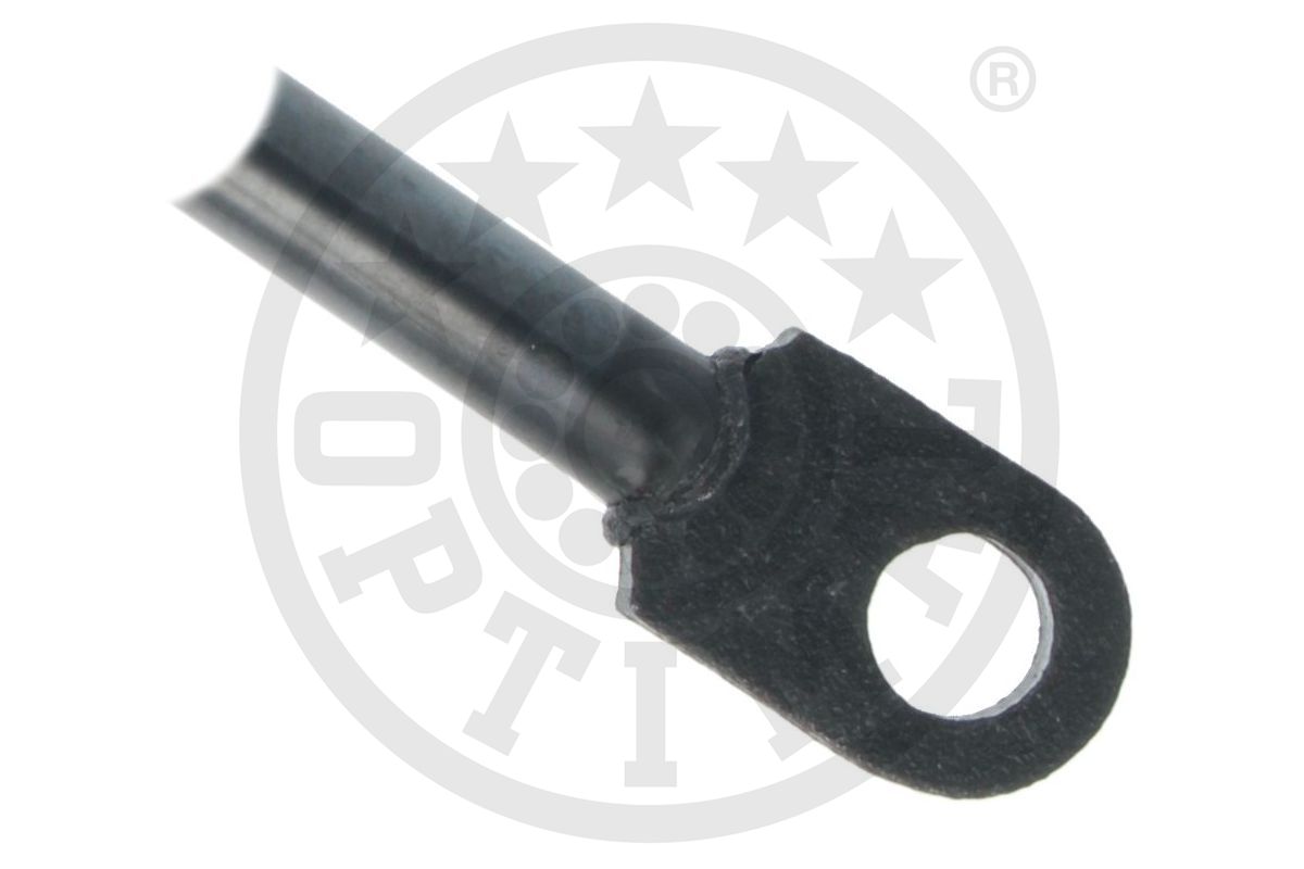 Gas Spring, boot/cargo area