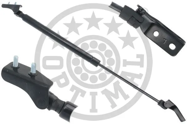 Gas Spring, boot/cargo area (AG-52246)