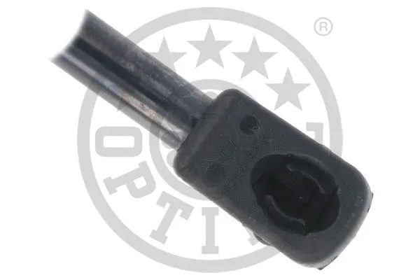 Gas Spring, boot/cargo area