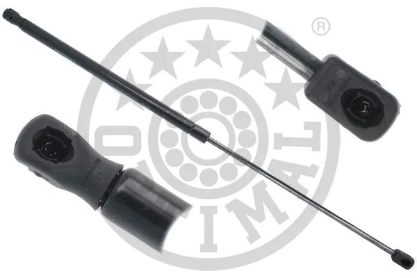 Gas Spring, boot/cargo area (AG-51523)