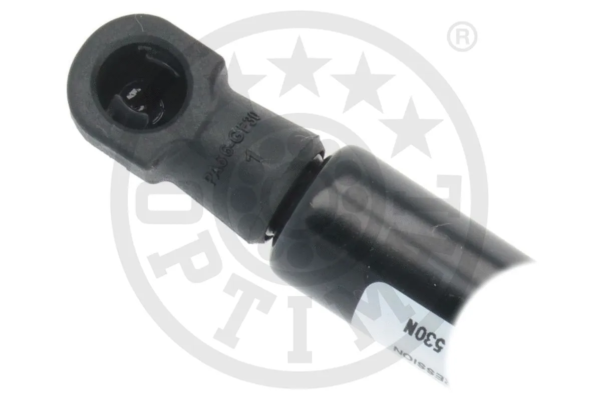 Gas Spring, boot/cargo area