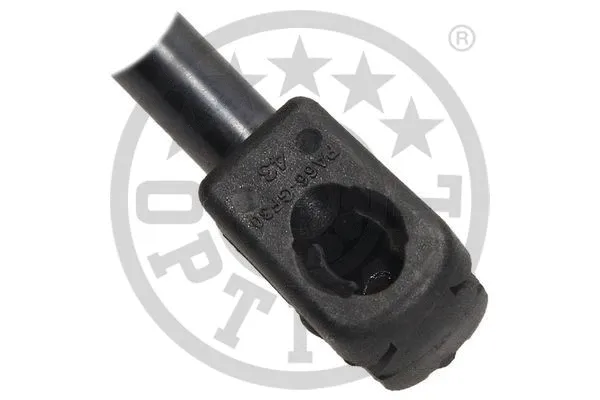 Gas Spring, boot/cargo area