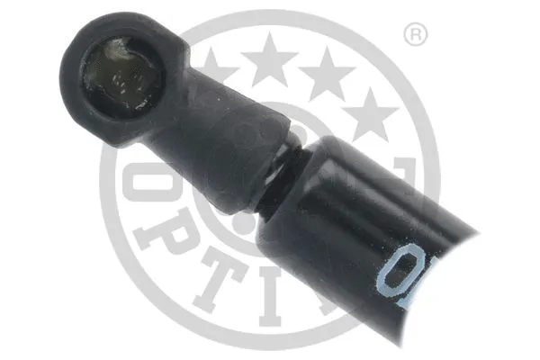 Gas Spring, boot/cargo area