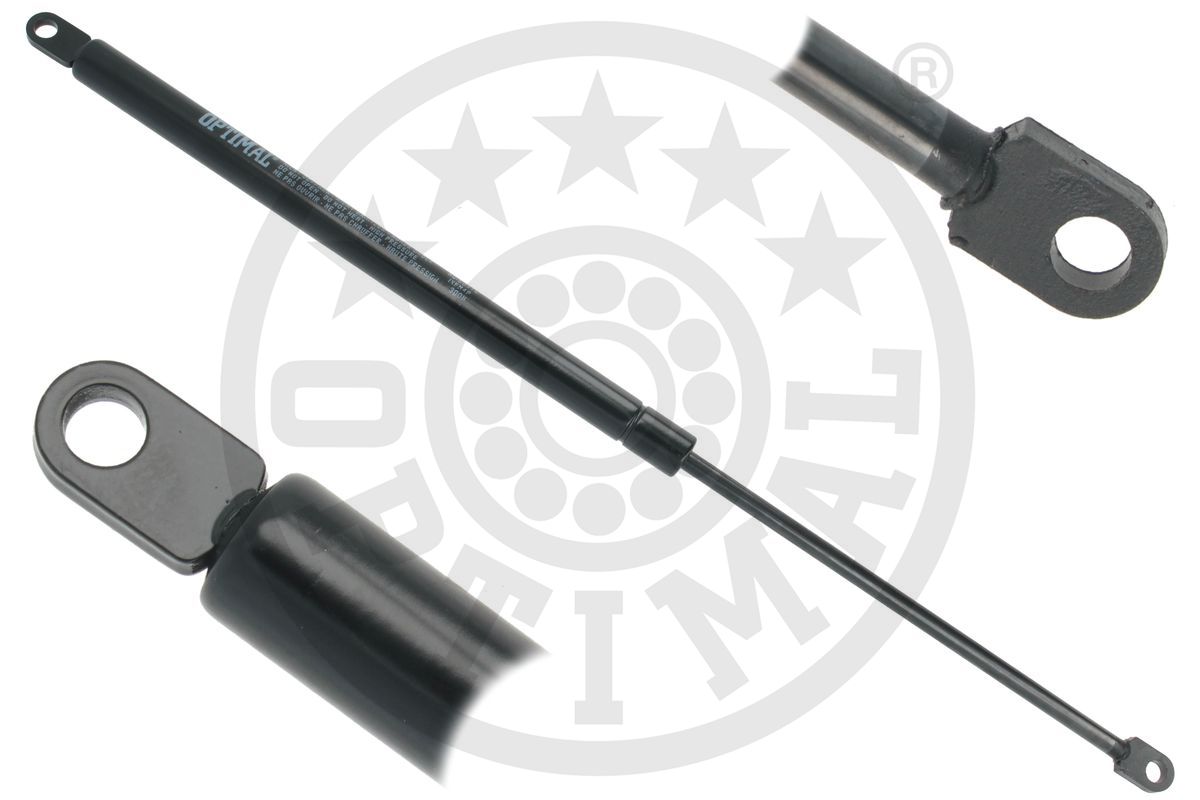 Gas Spring, boot/cargo area (AG-50916)