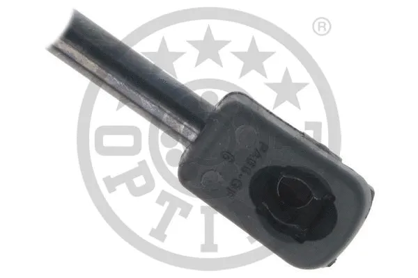 Gas Spring, boot/cargo area