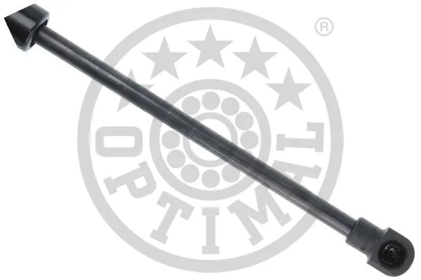 Gas Spring, boot/cargo area