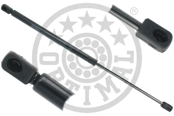 Gas Spring, boot/cargo area (AG-50474)