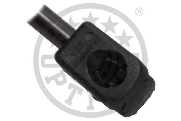 Gas Spring, boot/cargo area