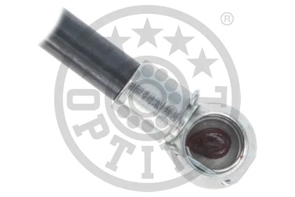 Gas Spring, boot/cargo area