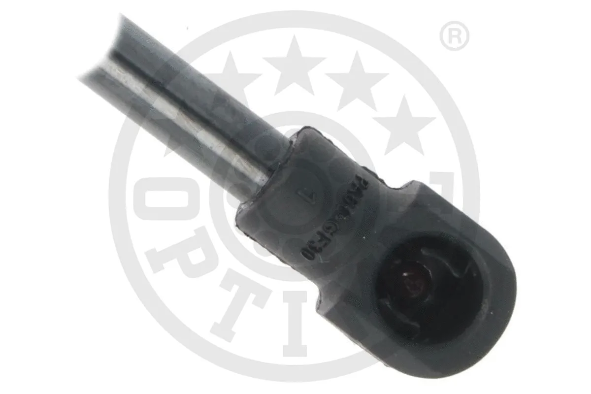 Gas Spring, boot/cargo area