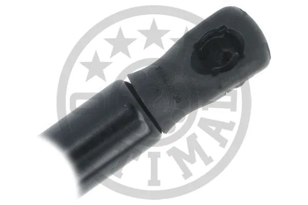 Gas Spring, boot/cargo area