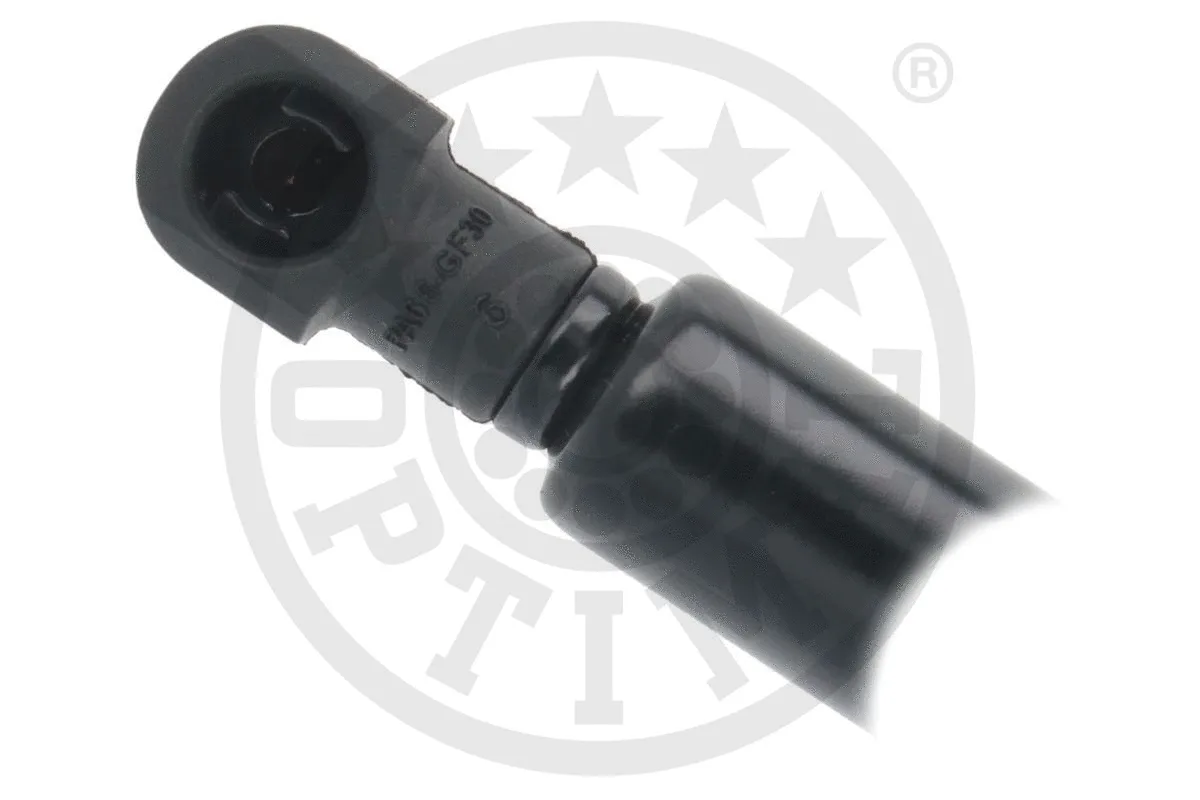 Gas Spring, boot/cargo area