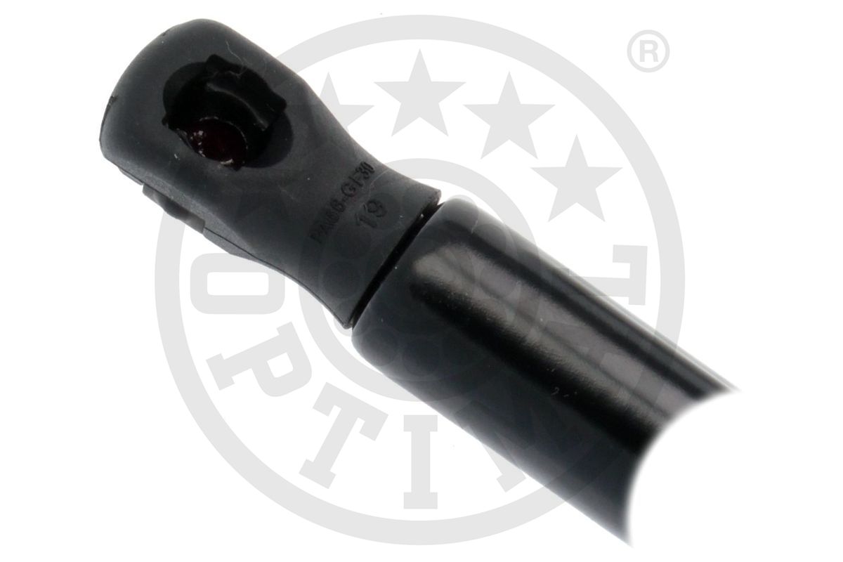 Gas Spring, boot/cargo area