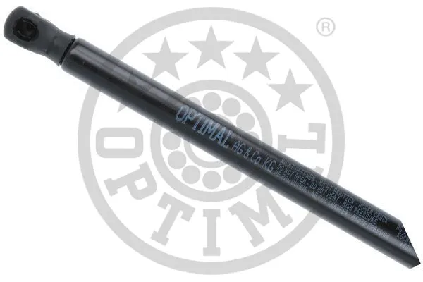 Gas Spring, boot/cargo area