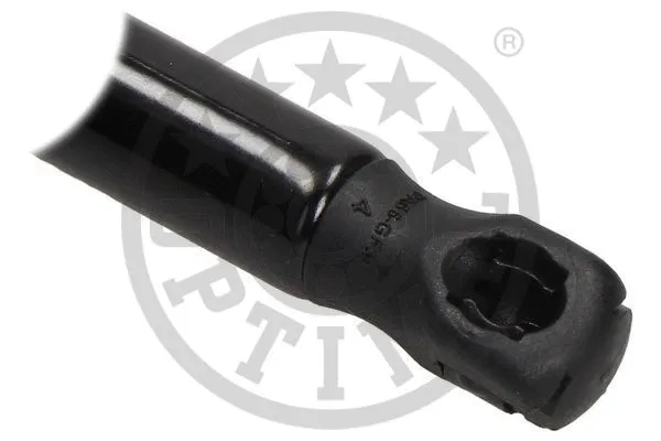 Gas Spring, boot/cargo area