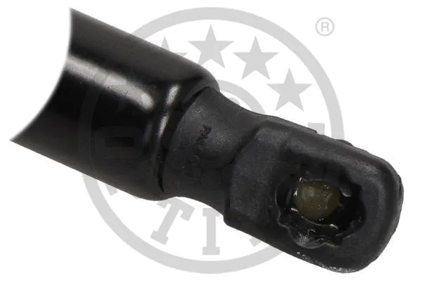 Gas Spring, boot/cargo area