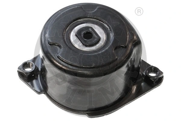 Tensioner Lever, V-ribbed belt