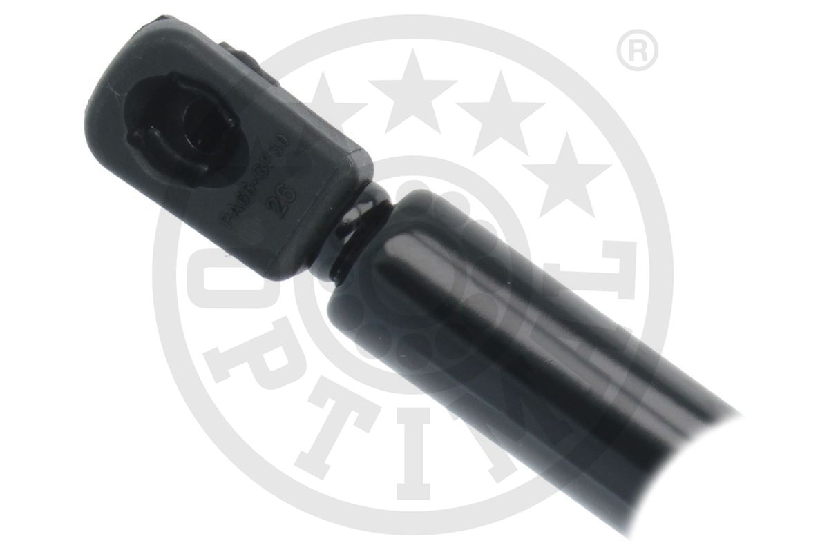 Gas Spring, boot/cargo area