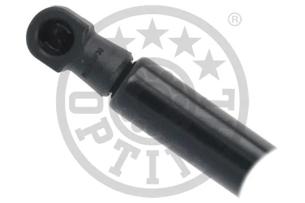 Gas Spring, boot/cargo area