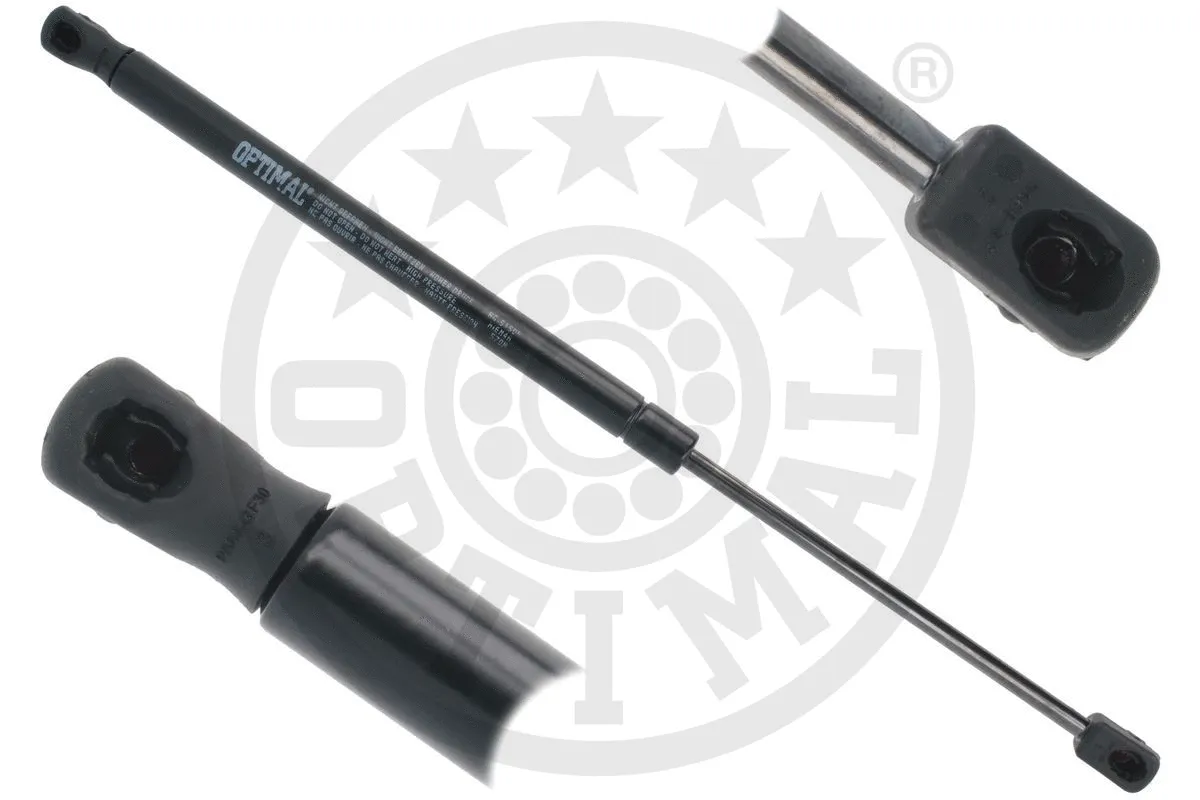 Gas Spring, boot/cargo area (AG-51509)