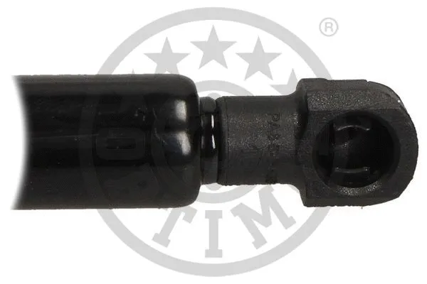 Gas Spring, boot/cargo area