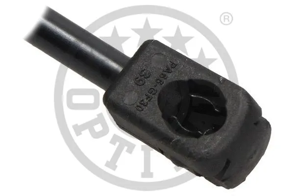 Gas Spring, boot/cargo area