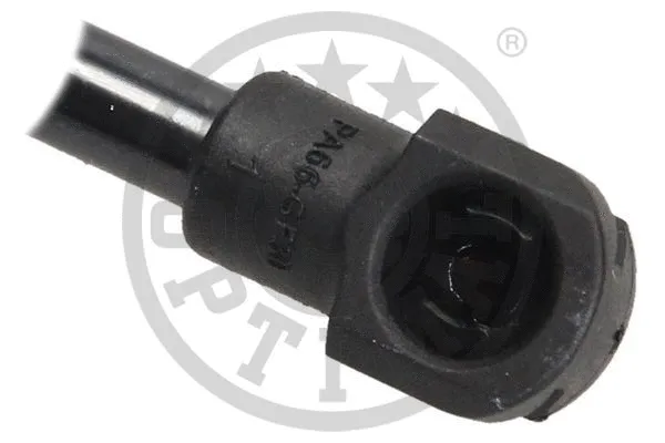 Gas Spring, boot/cargo area