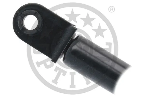 Gas Spring, boot/cargo area