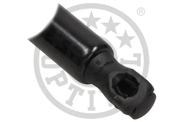 Gas Spring, boot/cargo area