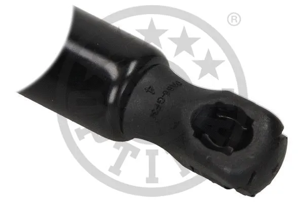 Gas Spring, boot/cargo area