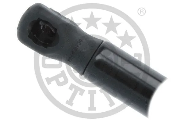 Gas Spring, boot/cargo area