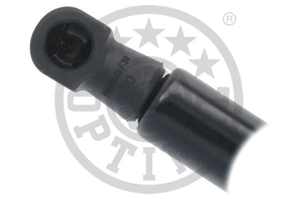 Gas Spring, boot/cargo area